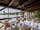 Kampa Park Restaurant mini photo